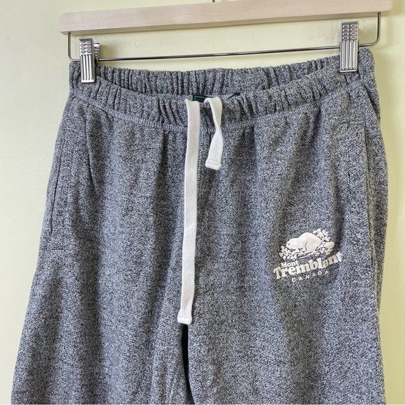 Roots Mont Tremblant Classic Jogger Sweatpants in Gray SIZE SMALL - Picture 9 of 11